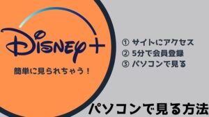 ディズニープラスをパソコン(PC)で見る方法はとっても簡単