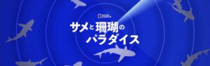 美しい自然を探求『サメと珊瑚のパラダイス』